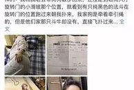 海南网红爆料事件视频曝光,揭秘背后真相
