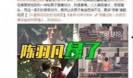 黄子健爆料视频大全最新,揭秘娱乐圈不为人知的一面