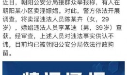 吃瓜直播小说免费阅读,免费阅读，带你领略吃瓜界的狂欢盛宴