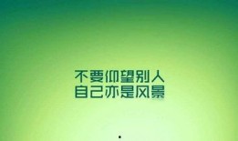 励志新闻爆料大全最新版,见证平凡人的非凡力量