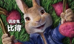 娱乐吃瓜兔子视频大全,盘点热门视频大全