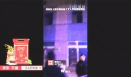 鹏哥爆料完整视频在线观看,揭秘幕后真相，带你一探究竟