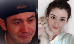 杨颖不雅视频在线观看,真相与争议