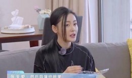 刘晶爆料事件视频完整版,视频完整版揭露惊人内幕