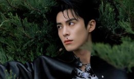 王鹤棣娱乐爆料视频,幕后故事大公开