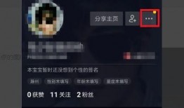 抖音爆料视频要求什么,热门内容背后的制作秘籍