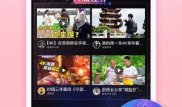 若驰夫妇爆料视频下载,事件背后真相曝光