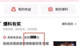 河南爆料今日头条视频,今日头条视频揭示惊人内幕