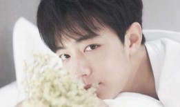 圈内人爆料王一博肖战