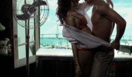 法网危情在线观看,揭秘网络世界的暗流涌动