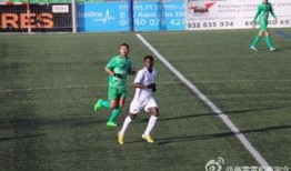 高雷雷爆料最新消息,揭秘娱乐圈惊人内幕