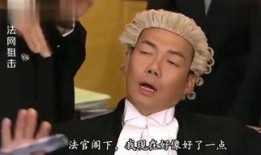 法网危情在线观看,揭秘网络世界的暗流涌动