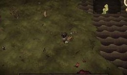 最新饥荒爆料视频大全,揭秘生存挑战背后的真实困境