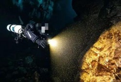 潜水博主视频爆料,博主亲历水下奇观