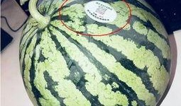 吃瓜网红推荐,揭秘那些让人欲罢不能的美食诱惑