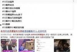 狗仔爆料何炅视频播放,狗仔爆料背后的真相揭秘