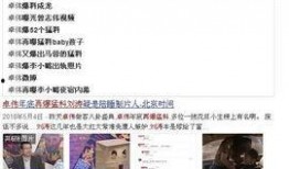 狗仔爆料何炅视频播放,狗仔爆料背后的真相揭秘