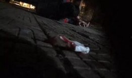 女子打架爆料视频真实图片,现场画面曝光，网友热议