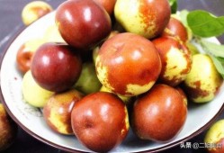 冬枣储存爆料方法视频