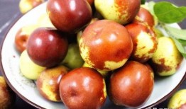 冬枣储存爆料方法视频