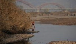 黄河裸泳爆料视频下载,揭秘事件背后真相与争议