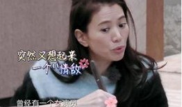 好友爆料袁咏仪视频播放,好友爆料引发热议