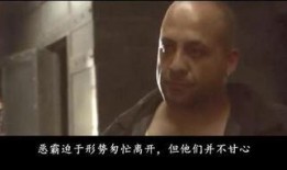 鞭与蛇在线观看影片,探寻神秘力量的奇幻之旅